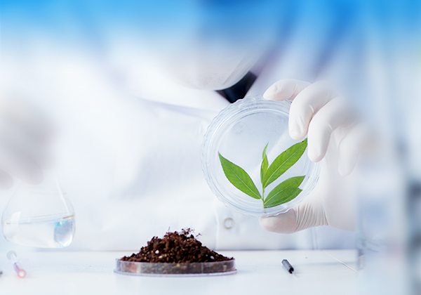 创新中药研究与开发